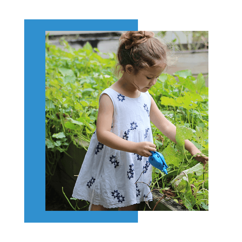 little girl watering her plants